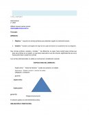 DEECHO INTERNACIONAL