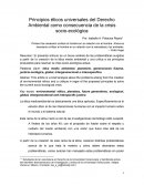Principios éticos universales del Derecho Ambiental