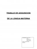 TRABAJO DE ADQUISICION DE LA LENGUA MATERNA