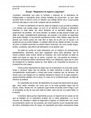 Ensayo ‘’Reglamento de higiene y seguridad’’