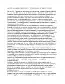 LIMITES, ALCANCES Y RIESGOS DE LA PROGRAMACION DE COMPUTADORAS