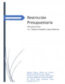 Restricción Presupuestaria Microeconomía