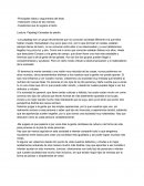 Lectura: Papalagi-Canastas de piedra