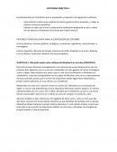 Práctica 1. Introducción a la Empresa