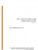 El ciclo del proyecto