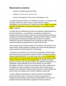 Observación en terreno