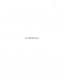 Cuento UNA VIDA DE RATAS