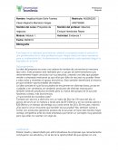 Evidencia 1 proyectos de negocios