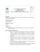 TÉCNICO EN DESARROLLO DE OPERACIONES LOGÍSTICA EN LA CADENA DE ABASTEIMENTO (DOLCA)