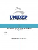 DIRECCION DE NEGOCIOS TRABAJO FINAL