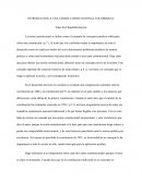 INTRODUCCION A UNA TEORIA CONSTITUCIONAL COLOMBIANA