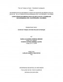 DETERMINACION DE REGIMENES CLIMATICOS BASADOS EN MINERALOGIA DE ARCILLAS DE LA FORMACION BUCARAMANGA DEL CUATERNARIO, COLOMBIA