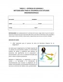 METODOLOGÍA PARA EL DESARROLLO DE ESTUDIOS ORGANIZACIONALES