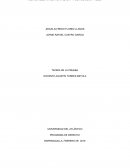 HECHOS RELEVANTES, PERTINENCIA Y FUENTES DE LA PRUEBA