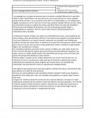 Papalagi. Canastas de piedra