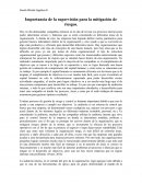 Importancia de la supervisión para la mitigación de riesgos