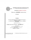 CABLEADO AUDIO Y VÍDEO