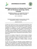 Melitofauna presente en el Bosque Seco Tropical (BST) de Remolinos-Taminango, Nariño, Colombia