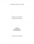 BETTINA SPITZ Y COMPAÑÍA LTDA