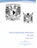 PROTOCOLO crisis financiera 94