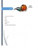 LOGISTICA INTEGRAL. Carga Peligrosa