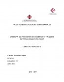 Características de Responsabilidad Penal