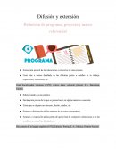 Definición de programa, proyecto y marco referencial