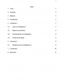 Ensayo - INSTALACION DE BIODIGESTORES EN PERU