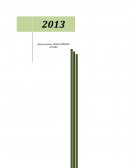 PROYECTO: “PRODUCTOS APICOLAS, ARTESANALES Y SERVICIOS S.P.R DE R.L”