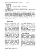 CAMBIOS FÍSICOS Y QUÍMICOS DE LA MATERIA