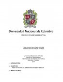 PROYECTO ESTADÍSTICA DESCRIPTIVA