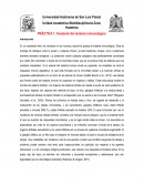 Inmunologia: anatomia del sistema inmune