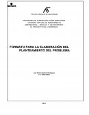 EL PROYECTO DE LA EMPRESA