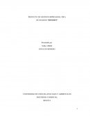 PROYECTO DE GESTION EMPRESARIAL IDEA DE NEGOCIO “DIVISOFT”