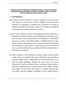 PROYECTO DE FACTIBILIDAD ECONOMICA PARA LA CREACION DE UNA ORGANIZACIÓN DE ASISTENCIA TECNICA INTEGRAL PARA LOS MICRO PRODUCTORES DE ARTICULOS DE CUERO