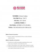 TECNOLOGÍA DE CEREALES. Objetivo General de la práctica