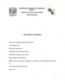 Amor filial en la literatura