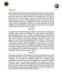 Ensayo del medio ambiente. La contaminación