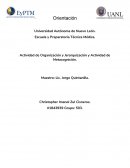 Actividad de Organización y Jerarquización y Actividad de Metacognición