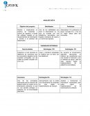 DOFA Y Plan de trabajo