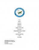 El Párrafo. Actividades del párrafo