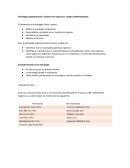 Estrategia organizacional, modelos de negocios y riesgos administrativos