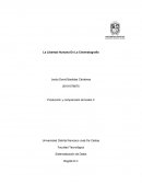 La Libertad Humana En La Cinematografía