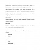 Principios Básicos de la Valuación Inmobiliaria