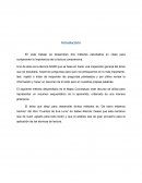 Aplicación de técnicas de lectura comprensiva: Análisis del cuento “De barro estamos hechos”