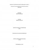 Proyecto de comercialización de vinilos decorativos