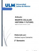 Ensayo MUERTE CELULAR