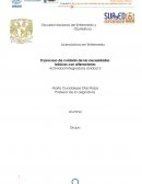 El proceso de cuidado de las necesidades básicas con alteraciones