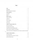 Planteo del problema de investigación