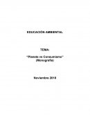 Monografía Planeta vs Consumismo